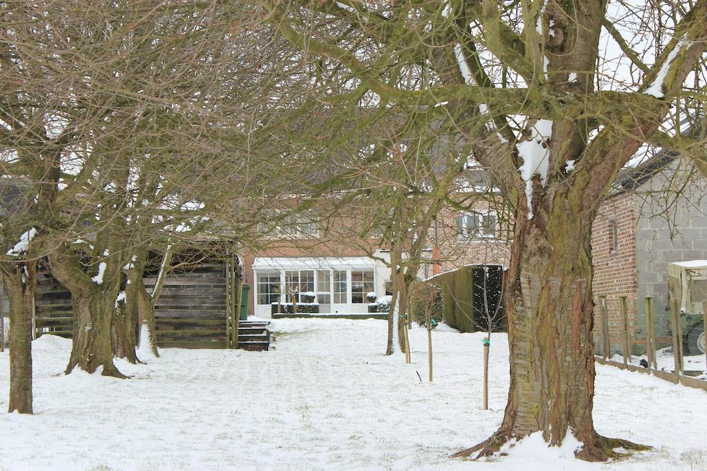 B&B Den Boomgaard Moorsel Екстериор снимка